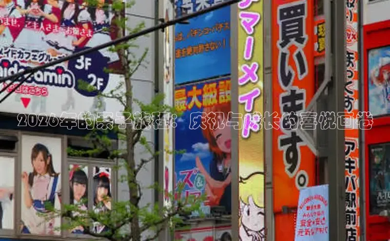 无极4官网入口网页版使用方法